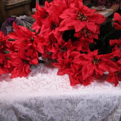 3 poinsettia bushes