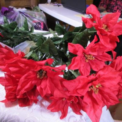 3 poinsettia bushes