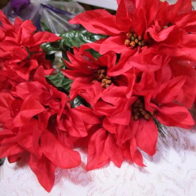 3 poinsettia bushes