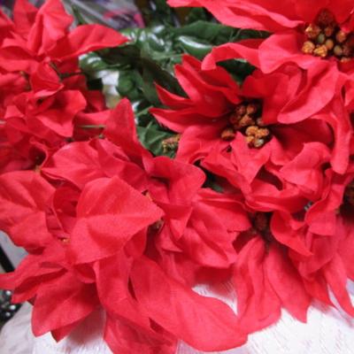 3 poinsettia bushes