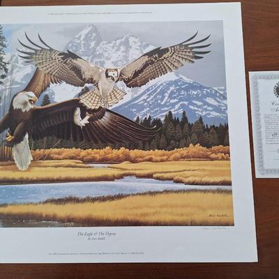 "The Eagle and The Osprey"