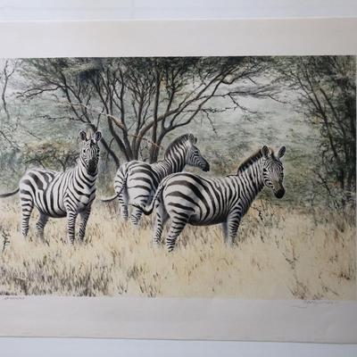 A Dazzle of Zebras Print