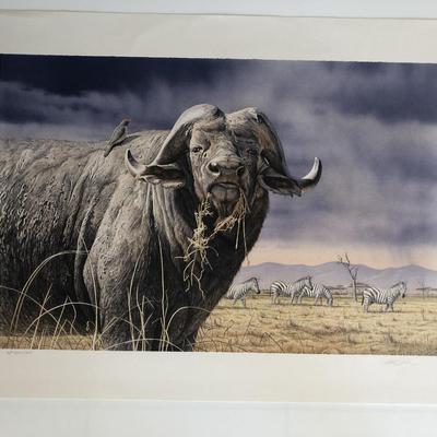 African Buffalo Print