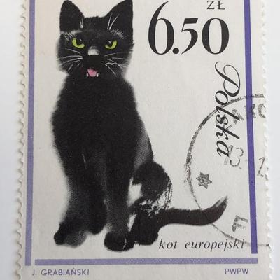 1964 Black Cat Stamp - Poland