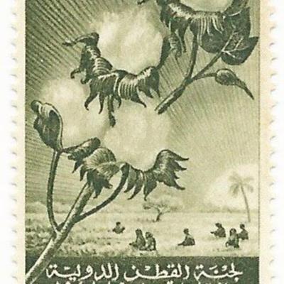 International Cotton Congress - Field and branch of Cotton Egyptian Stamp