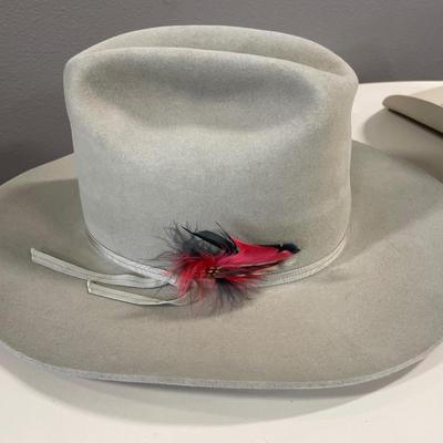 Stetson & Resistol cowboy hats