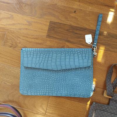 Collection of Purses (HC2-BBL)