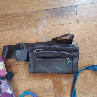 Collection of Purses (HC2-BBL)