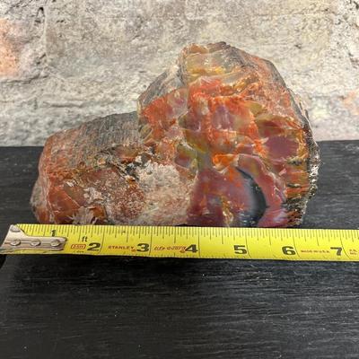 Smol things and rock (Petrified Wood)