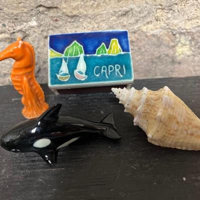Smol things and rock (Petrified Wood)