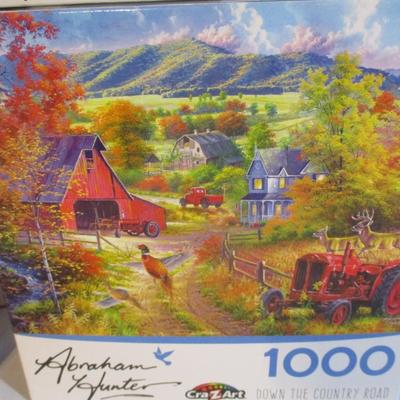 10 Sealed - Scenic Puzzles Choice 66 (See All Pictures)