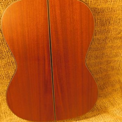 Takamine G Series Electric Acoustic Guitar with On Board Tuner & Gig Bag