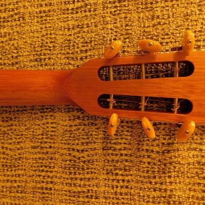 Takamine G Series Electric Acoustic Guitar with On Board Tuner & Gig Bag
