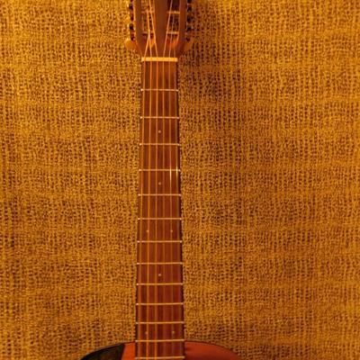 Takamine G Series Electric Acoustic Guitar with On Board Tuner & Gig Bag