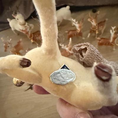 Reindeer
