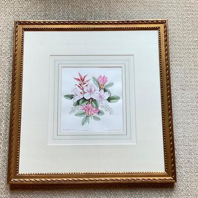 MB643 Rhododendrons Framed Artwork with Artists Signed Book Marianna Kneller