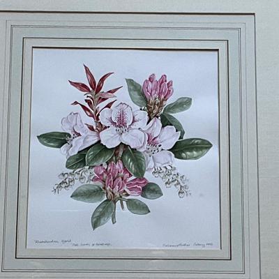 MB643 Rhododendrons Framed Artwork with Artists Signed Book Marianna Kneller