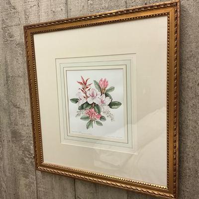 MB643 Rhododendrons Framed Artwork with Artists Signed Book Marianna Kneller