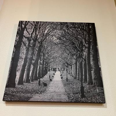 Tree Path Picture