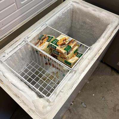 Lot 28: Samsung Refrigerator & Freezer