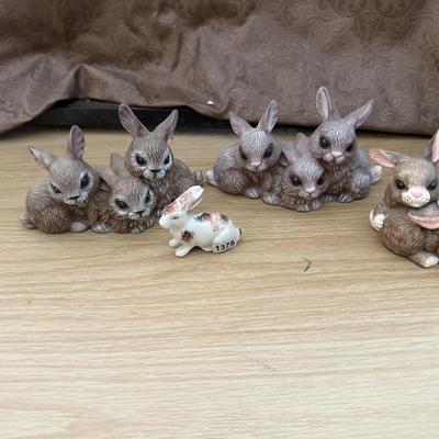 Bunnies