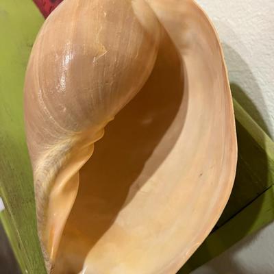 Large Shell with Stand