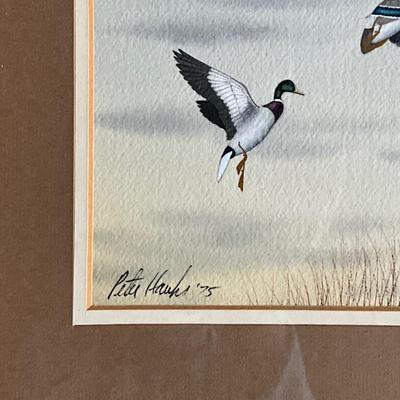 MB653 Original Watercolor "Jumping Mallards" by Peter Hanks '75