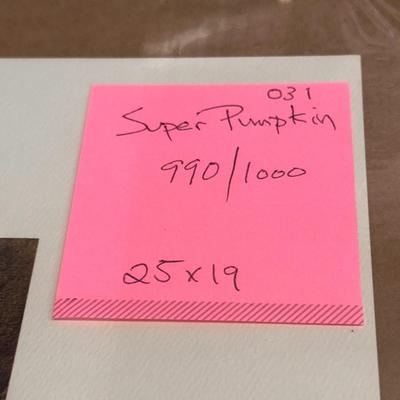 Super Pumpkin by Jack Deloney 990/1000 unframed 25x19