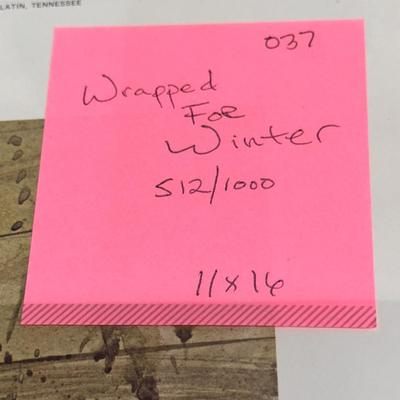 Wrapped for Winter by Jack Deloney 512/1000 unframed 11x16