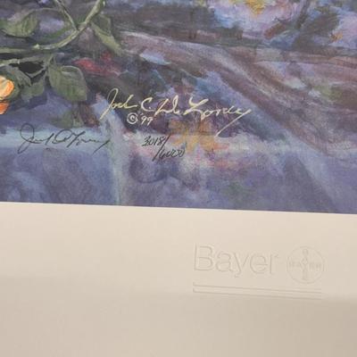 Bountiful Bouquet (Bayer) by Jack Deloney 3018/6000 unframed 31x23