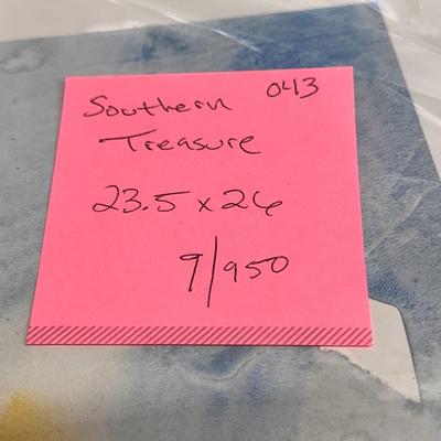 Southern Treasure by Jack Deloney 9/950 unframed 23.5x26