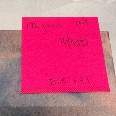 Magnolia by Jack Deloney 16/950 unframed 30.5x21