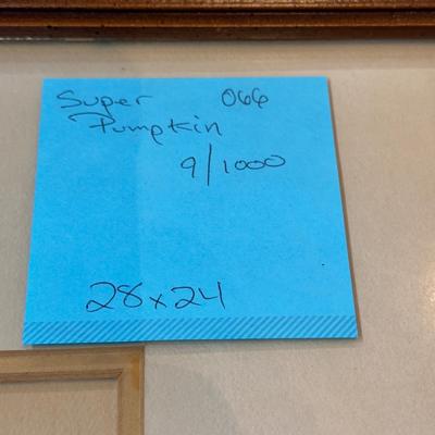 Super Pumpkin by Jack Deloney 9/1000 Framed 28x24