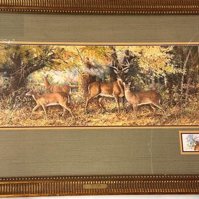 Fall Fever by Jack Deloney 9/1750 framed 42x27