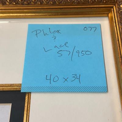 Phlox and Lace by Jack Deloney 57/950 framed 40x34