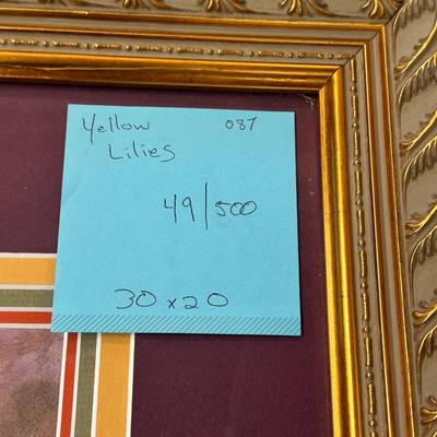Yellow Lilies by Jack Deloney 49/500 framed 30x20