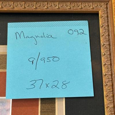 Magnolia by Jack Deloney 9/950 framed 37x28