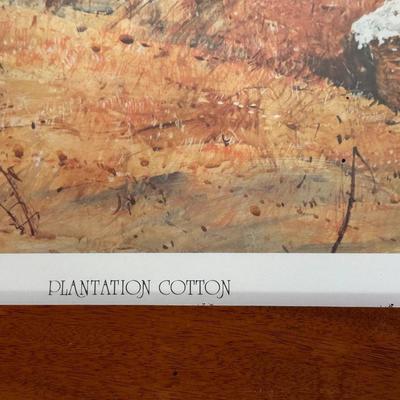 Plantation Cotton by Jack Deloney 616/950 framed 33x25.5