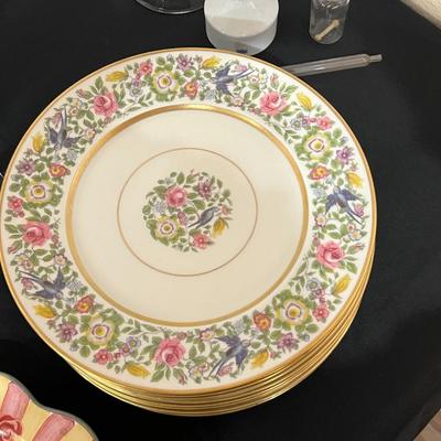 11 Lamberton Ivory Dinner Plates Gold Bluebird