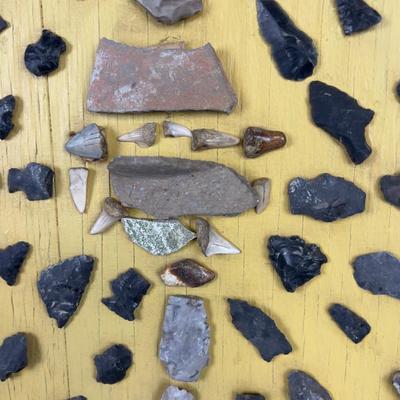 Arrow Heads Pottery Chards & Animal Teeth 