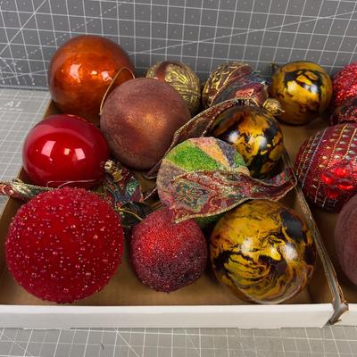 2 Tray of Unique Bulbs, FUN Variety