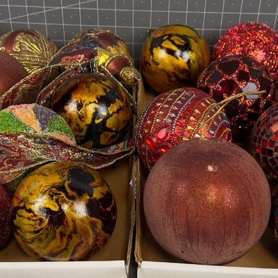 2 Tray of Unique Bulbs, FUN Variety
