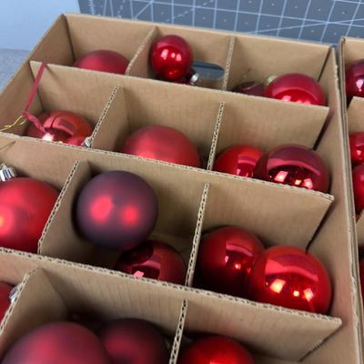 RED BULBS (3) Big Boxes Divided 2", 3", 4" Various Shades of RED 