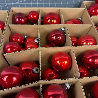 RED BULBS (3) Big Boxes Divided 2", 3", 4" Various Shades of RED 