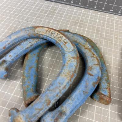 HORSE SHOE, You are in luck today! 