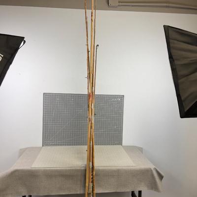 Pile of Bamboo Fishing Poles 