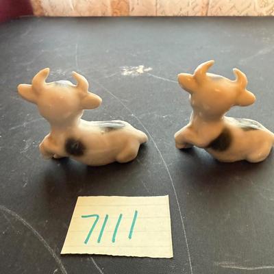 Pair of cows