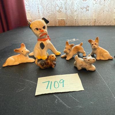 Small puppies