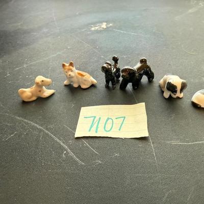 Tiny puppies