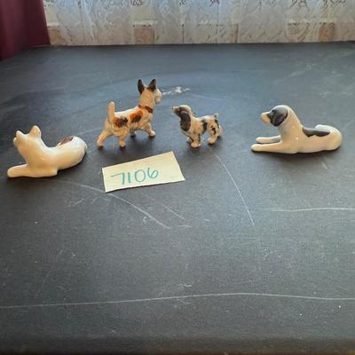 Tiny puppies